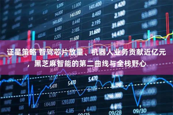 证星策略 智驾芯片放量、机器人业务贡献近亿元，黑芝麻智能的第二曲线与全栈野心